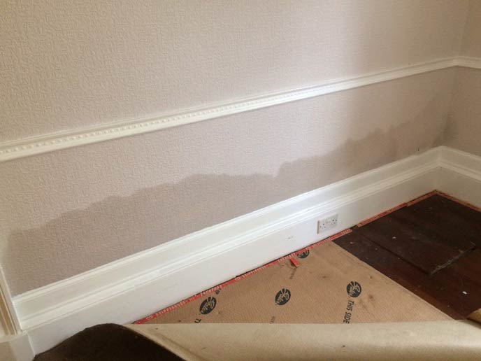 Damp tide marks and salt deposits on lower wall