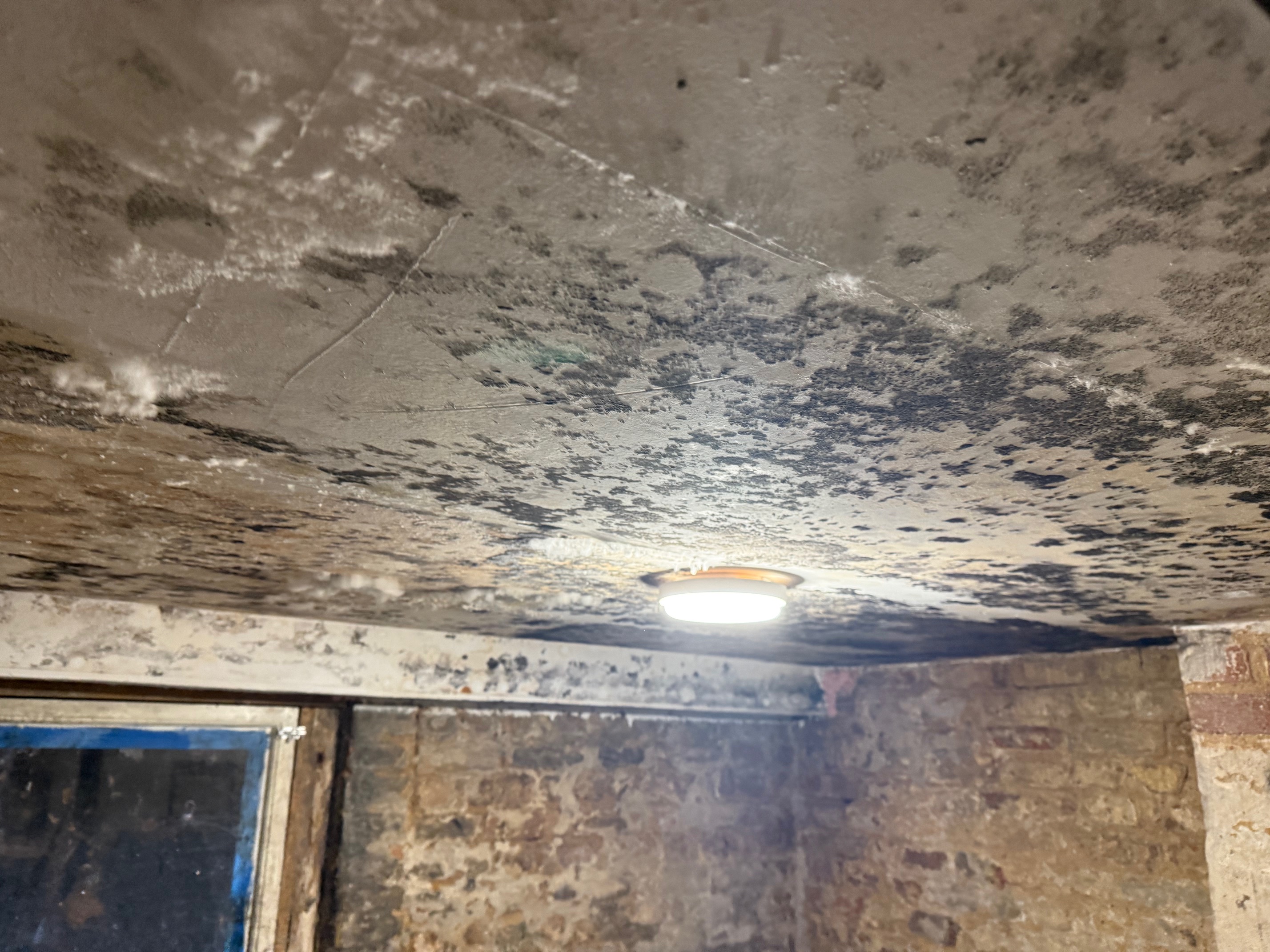 Condensation and mould on wall