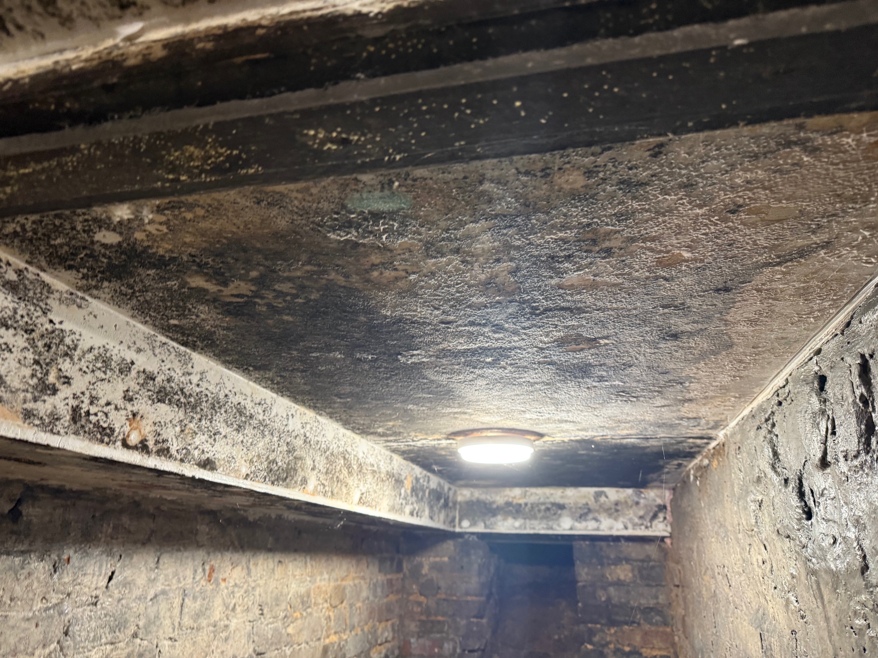 Severe black mould covering a ceiling — a real KDS job before treatment