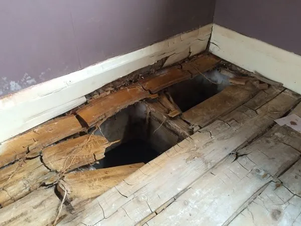 Severe dry rot destroying a wooden floor — boards collapsed through
