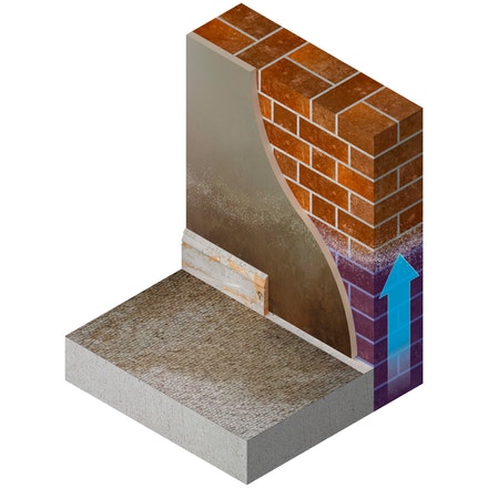 Diagram showing how rising damp travels up through brickwork from the ground